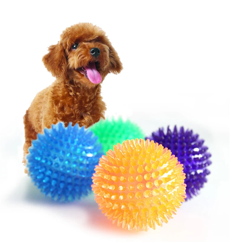 Pet Dog Toys