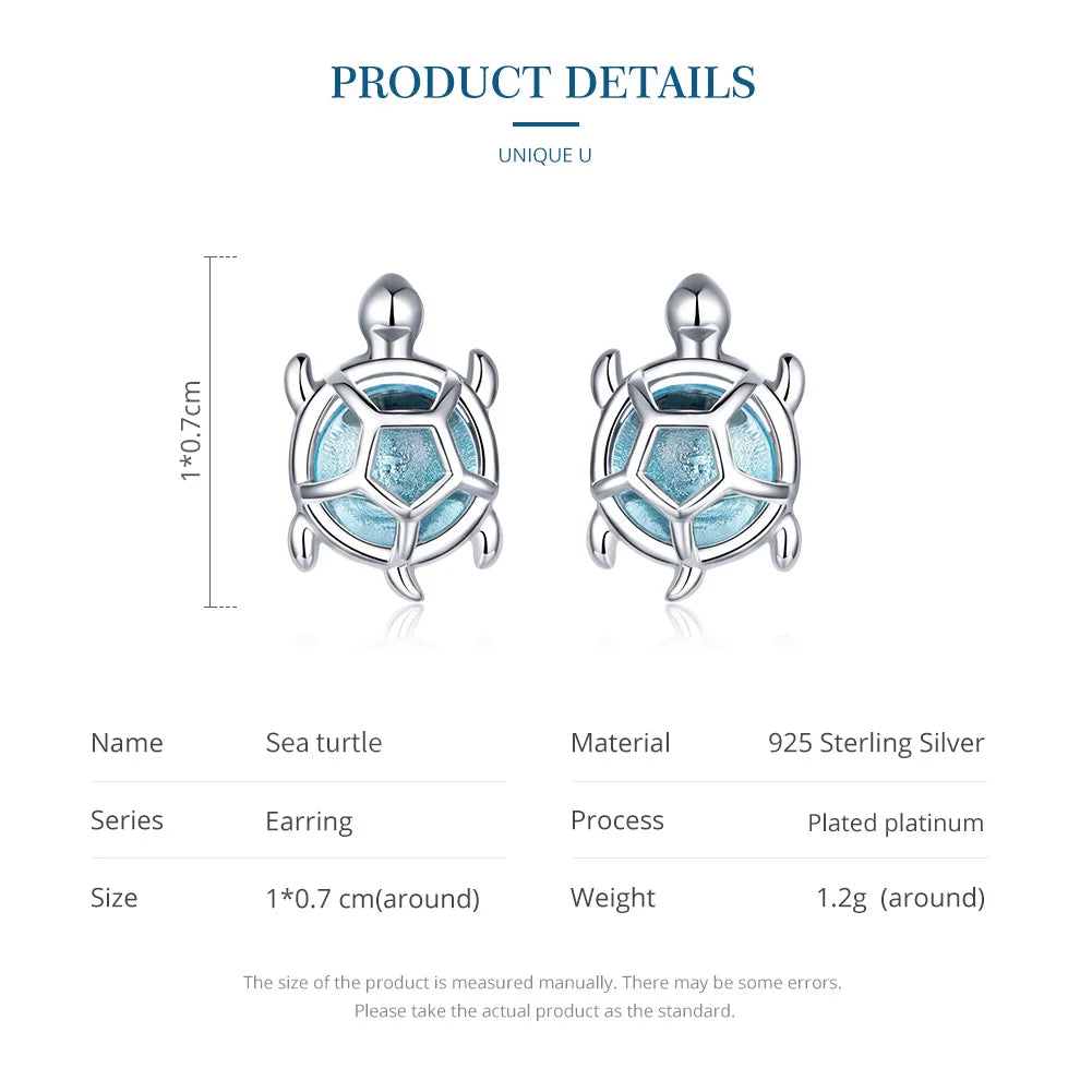 Sterling Silver Earrings
