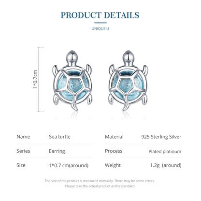 Sterling Silver Earrings