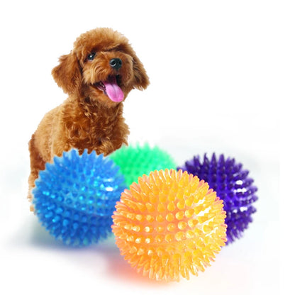 Pet Dog Toys