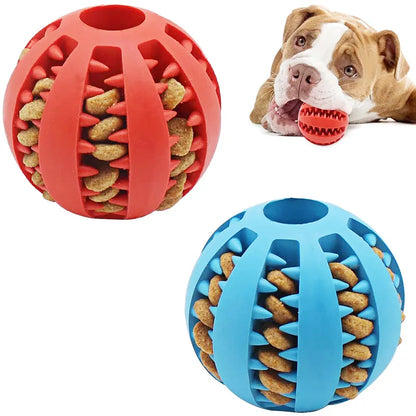 Dog Ball Toys for Small Dogs