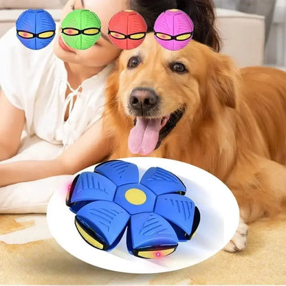 Dog Toys Flying UFO Saucer Ball