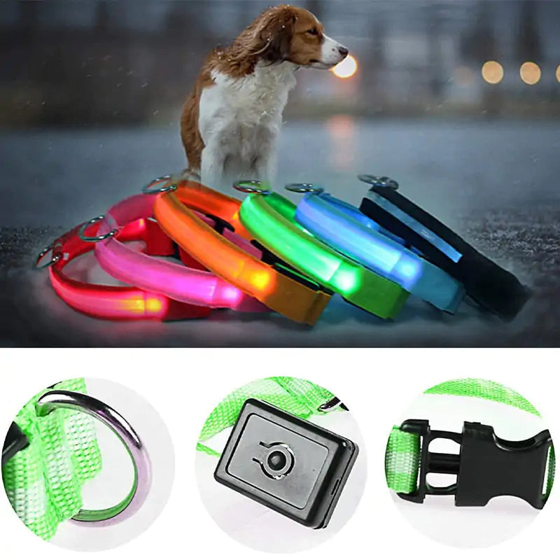 Adjustable LED Pet Collar