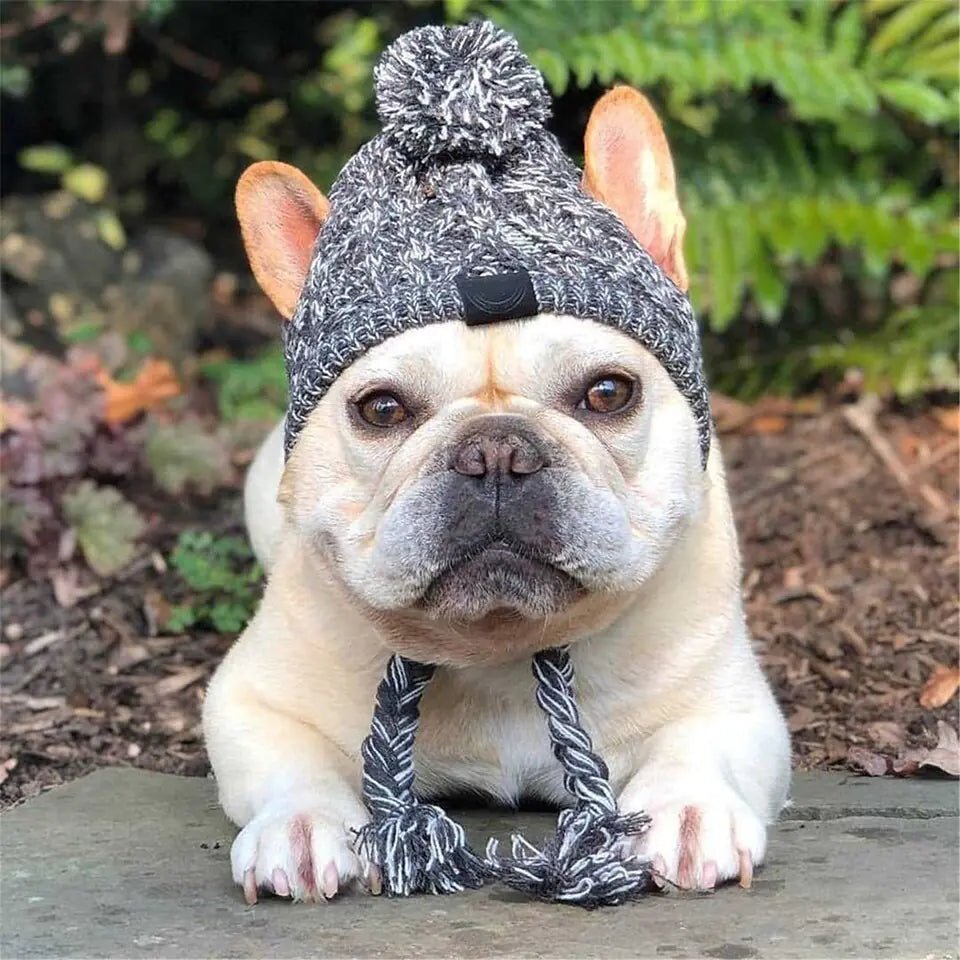 Canine Cap Companion - SavageBiz