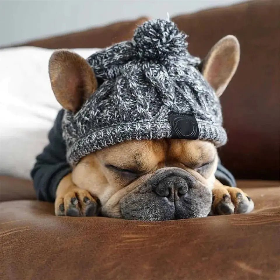 Canine Cap Companion - SavageBiz