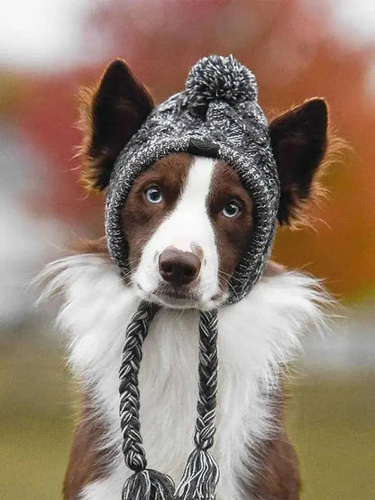 Canine Cap Companion - SavageBiz