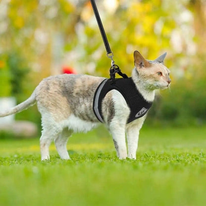 CozyCat Pet Harness and Leash - SavageBiz