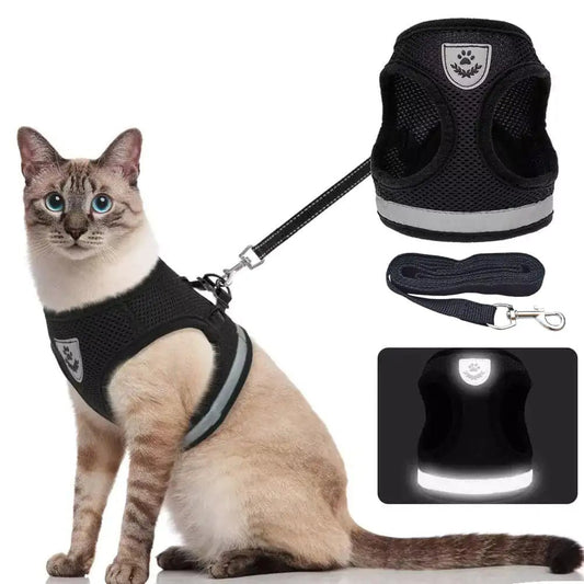 CozyCat Pet Harness and Leash - SavageBiz