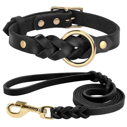 Dog Collar and Leash Set - SavageBiz