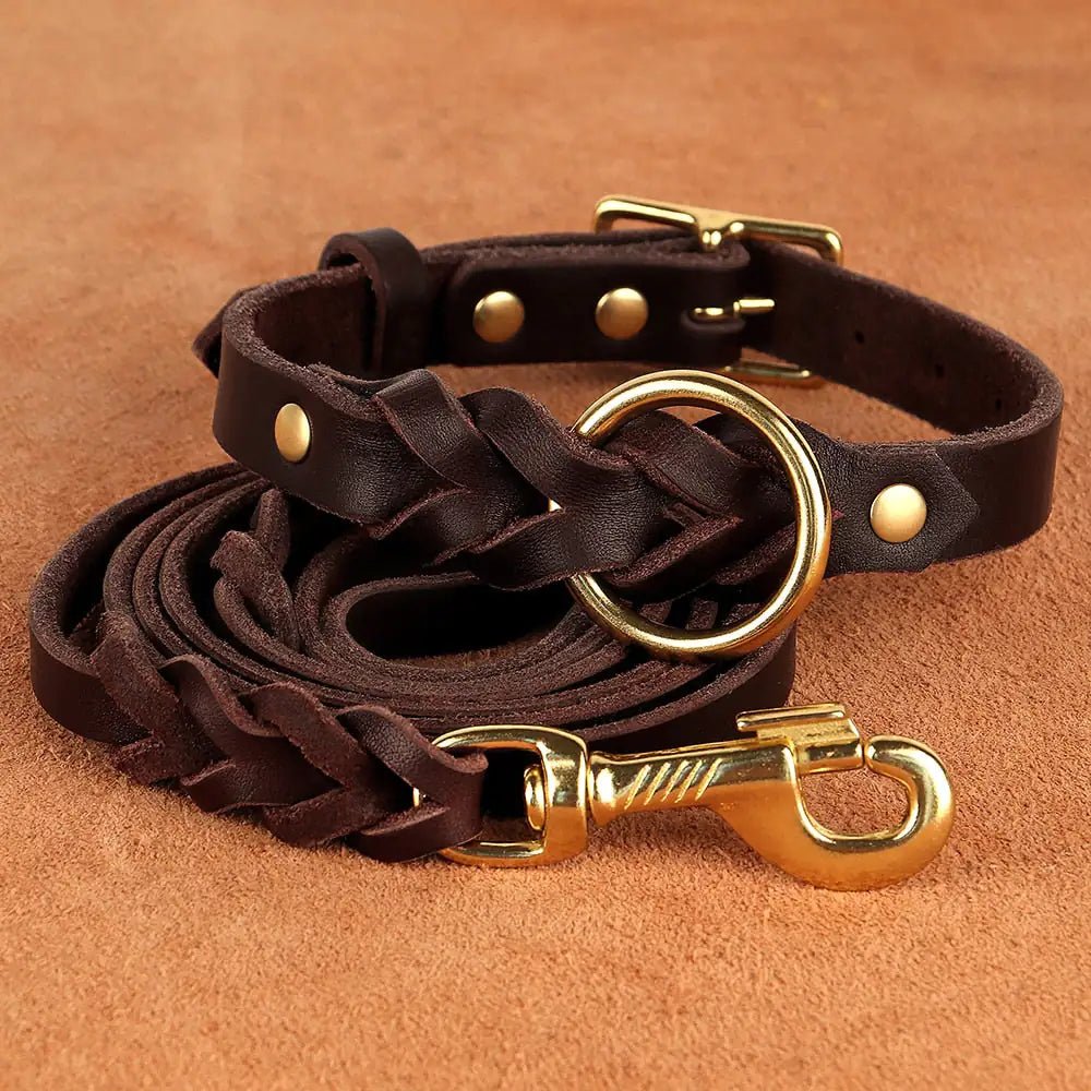 Dog Collar and Leash Set - SavageBiz