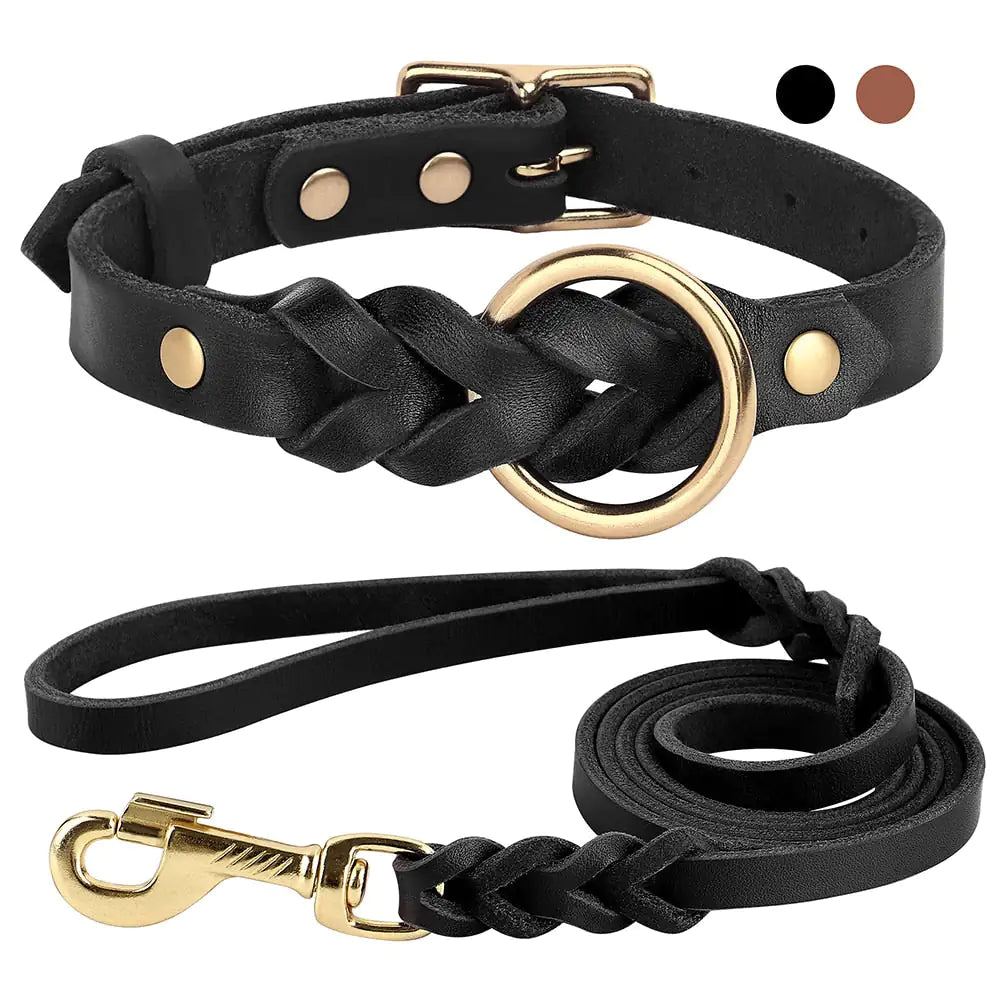 Dog Collar and Leash Set - SavageBiz