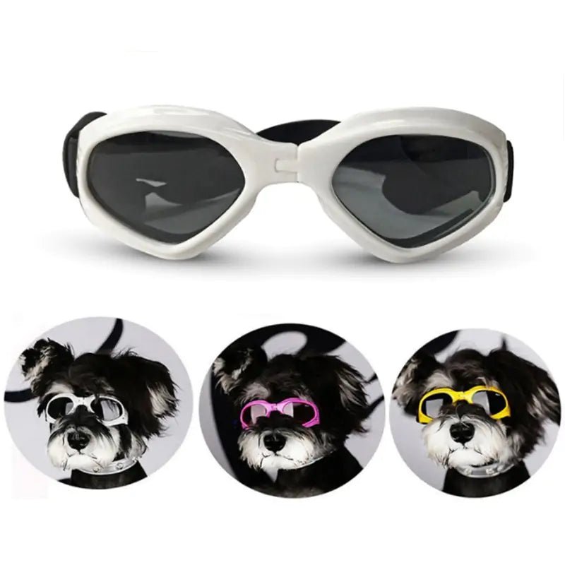 Dog Sunglasses - SavageBiz