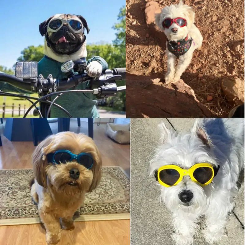 Dog Sunglasses - SavageBiz