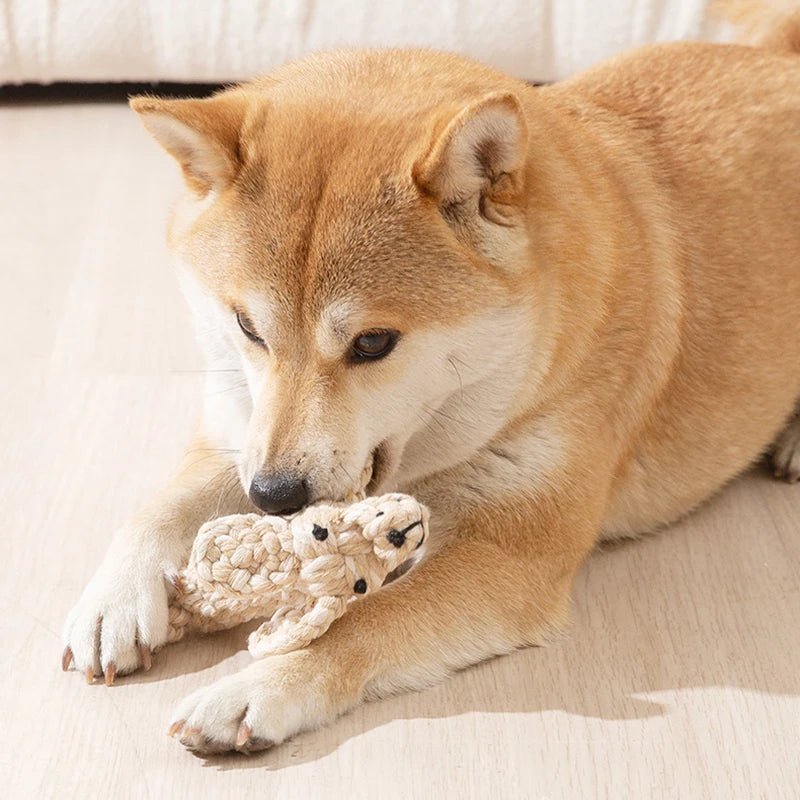 Handmade Cotton Pet Toys - SavageBiz