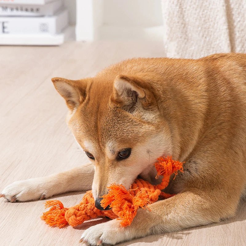 Handmade Cotton Pet Toys - SavageBiz