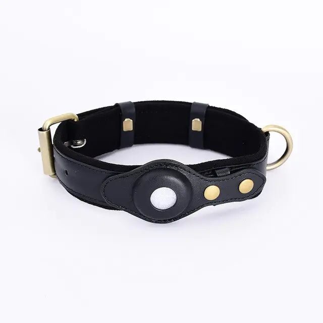 Leather Anti-Lost Dog Collar - SavageBiz