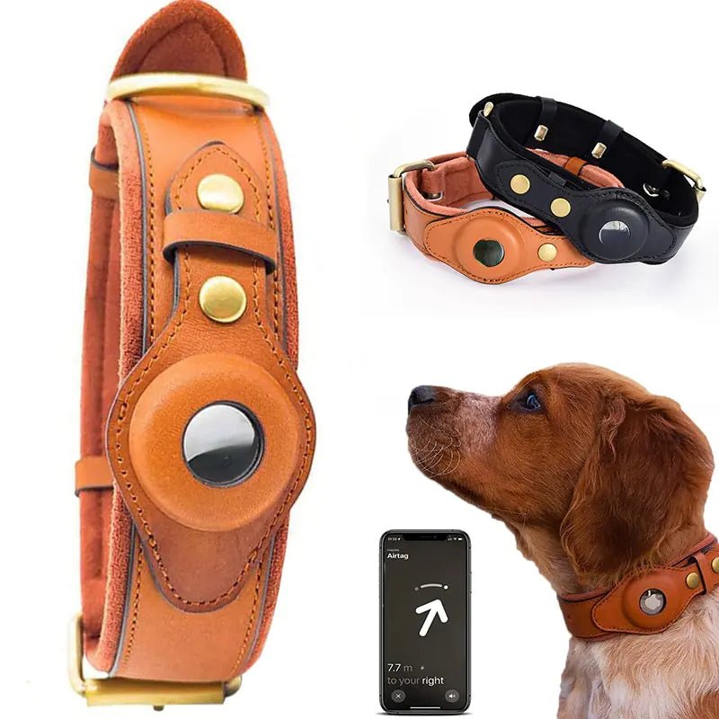 Leather Anti-Lost Dog Collar - SavageBiz