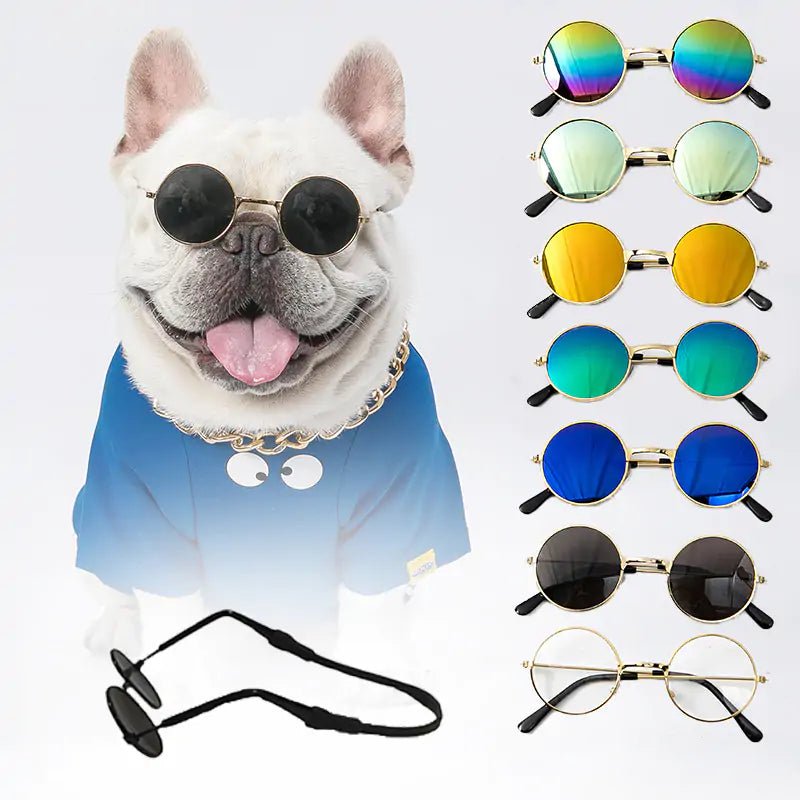 Pet Sunglasses - SavageBiz