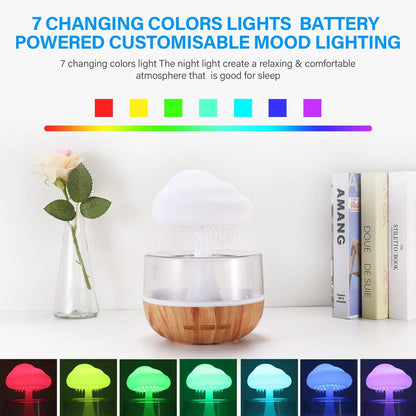 Rain Cloud Humidifier - SavageBiz