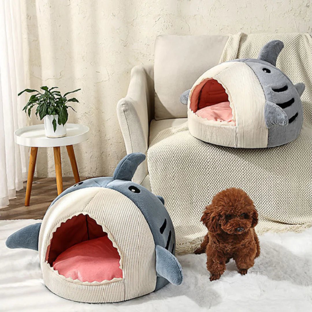 The Shark Pet Bed - SavageBiz