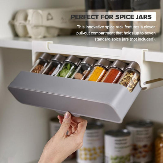 Wall-Mounted Spice Organizer - SavageBiz