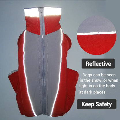 Winter overalls for dogs - SavageBiz