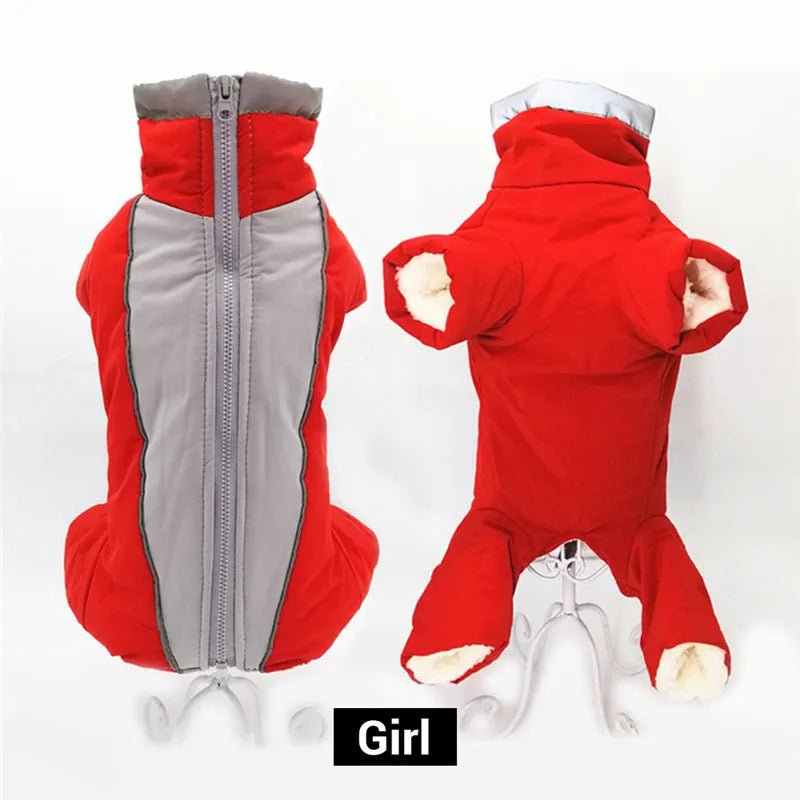 Winter overalls for dogs - SavageBiz