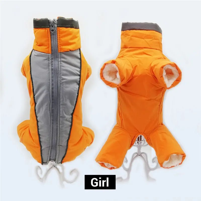 Winter overalls for dogs - SavageBiz