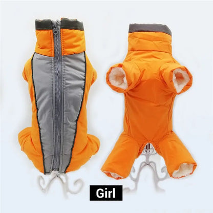 Winter overalls for dogs - SavageBiz