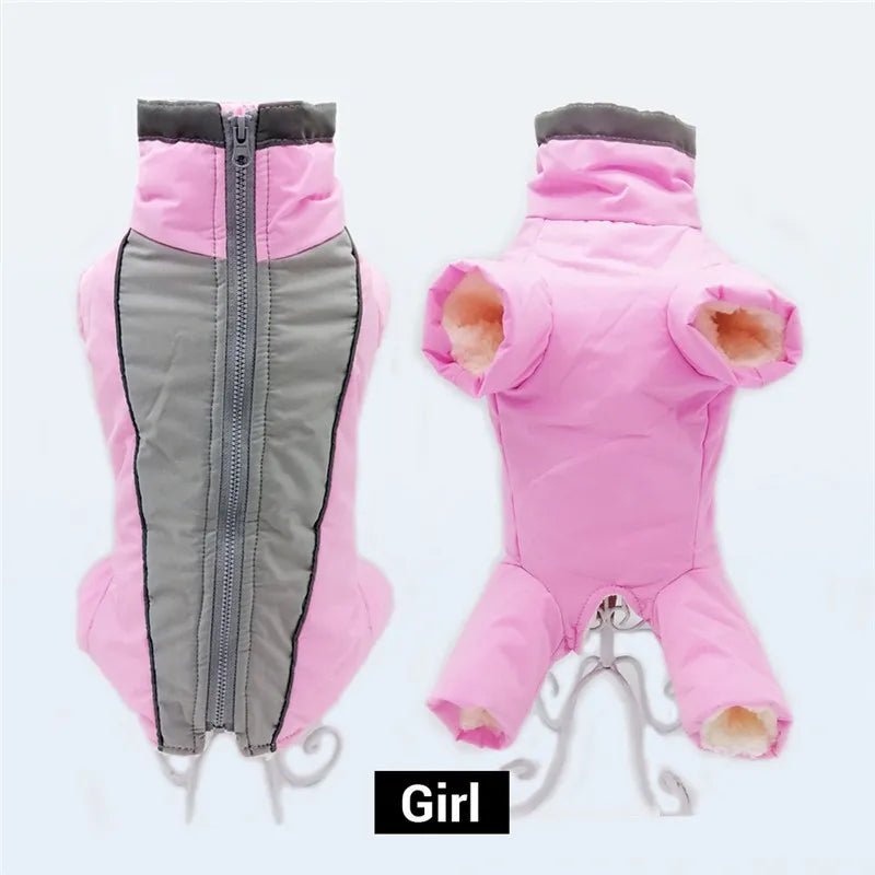 Winter overalls for dogs - SavageBiz